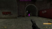 RaKS Half-Life 2 Deathmatch Chams v1.0 - PUBL Screenshot