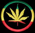 weed379's Avatar