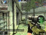 D3D BlackShot Chams V1.2 Screenshot